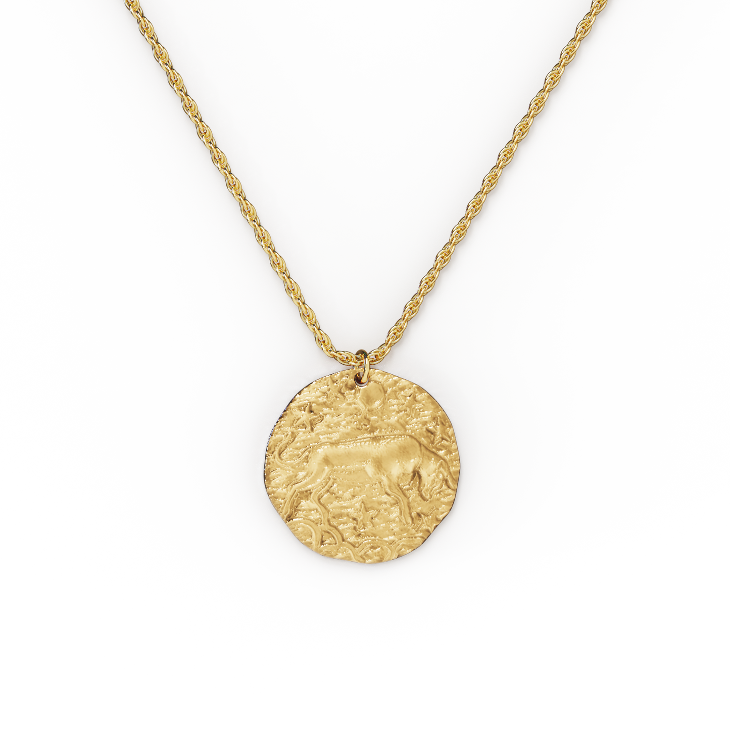 Hammered Gold Zodiac Pendant Necklace