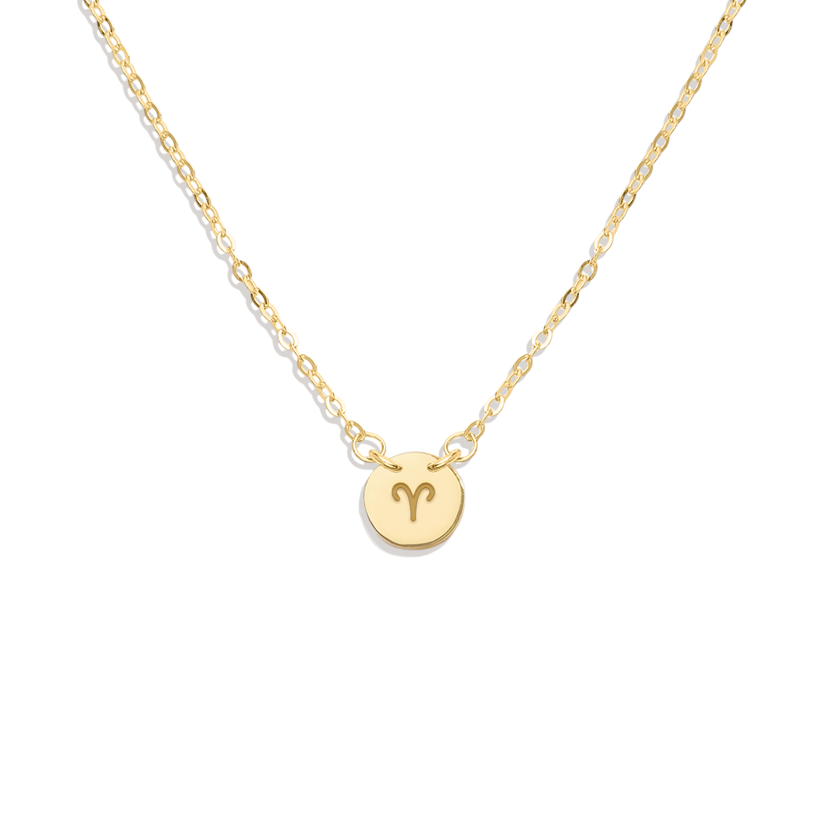 Dainty Zodiac Disc Necklace