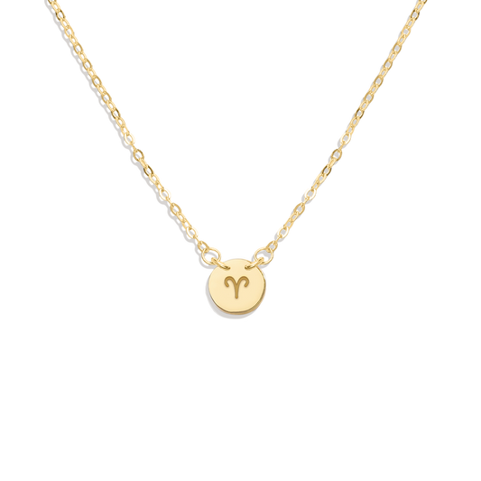 Dainty Zodiac Disc Necklace