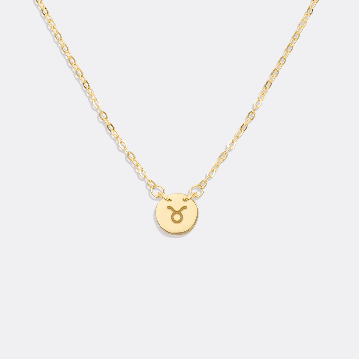 Dainty Zodiac Disc Necklace