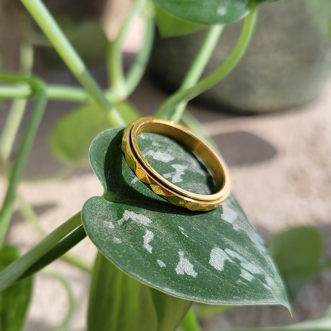 Dainty Hammered Band Spinning Fidget Ring