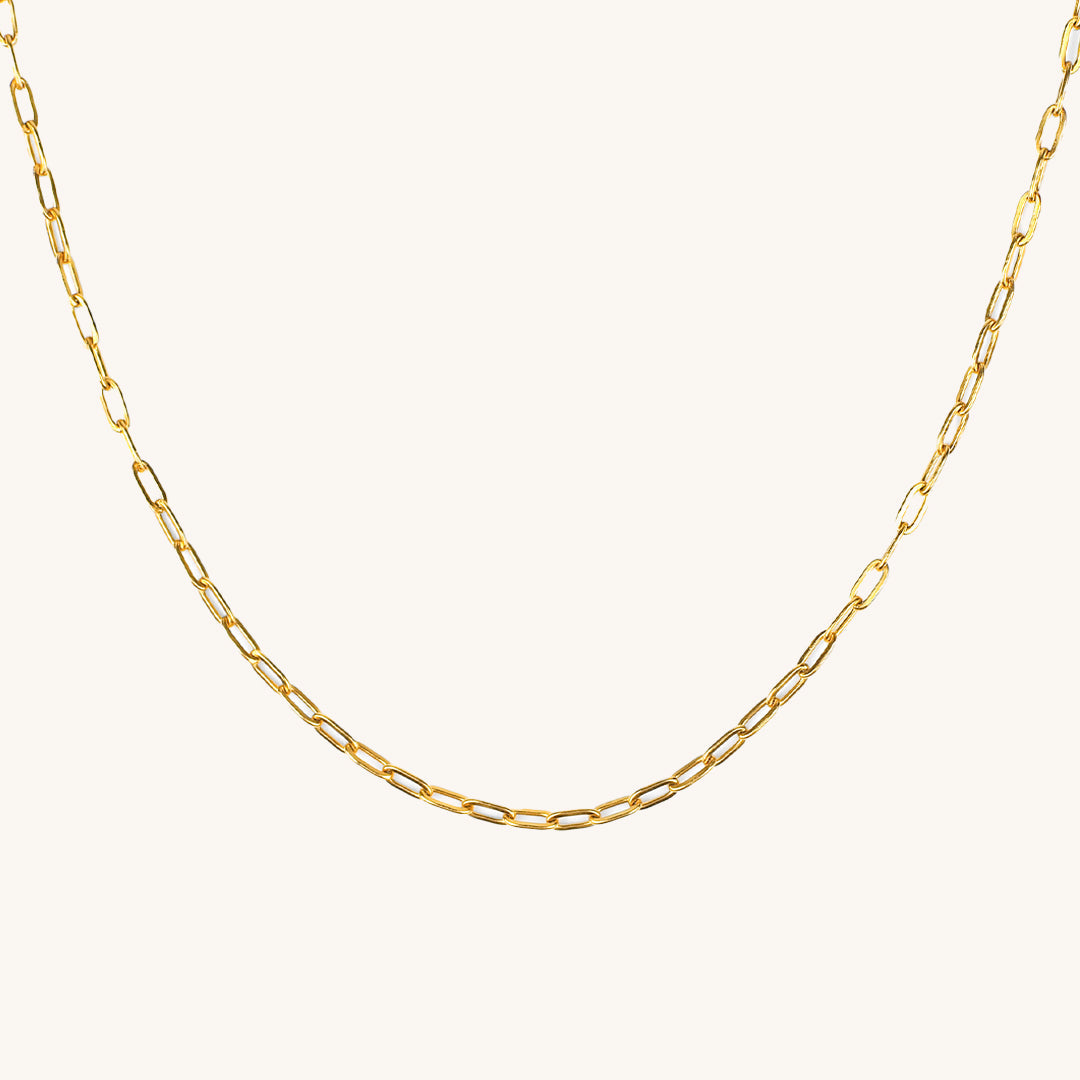 Paradiso Paperclip Chain Necklace